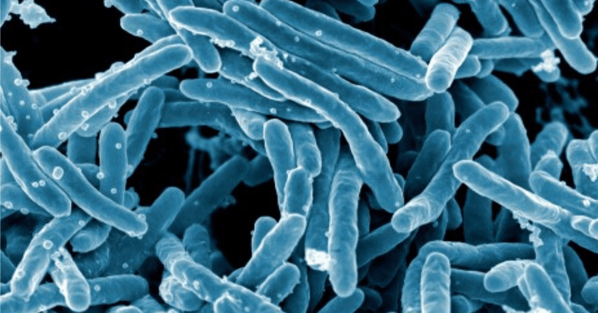 Researchers used AI to discover an antibiotic that can kill resistant bacteria