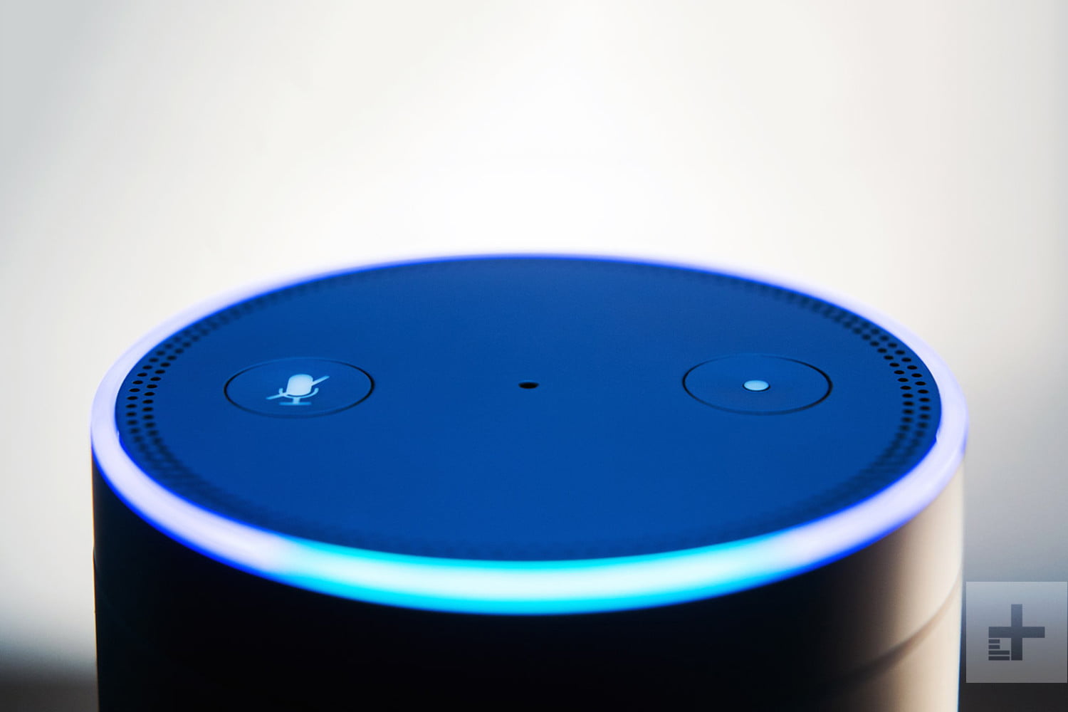 Alexa Commands: Take a Sneak Peek At All the Commands So Far